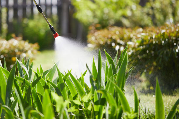 24/7 Emergency Ant Control experts in Kearny, NJ