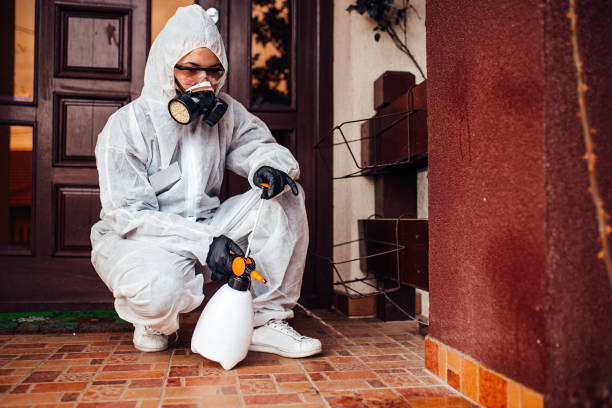 Reliable Ant Control contractor in Kearny, NJ by Show Me Pest Control